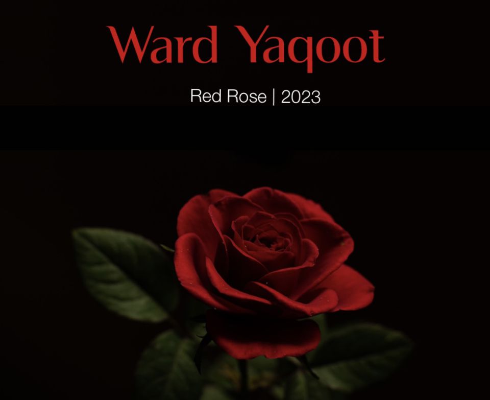 Ward Yaqoot